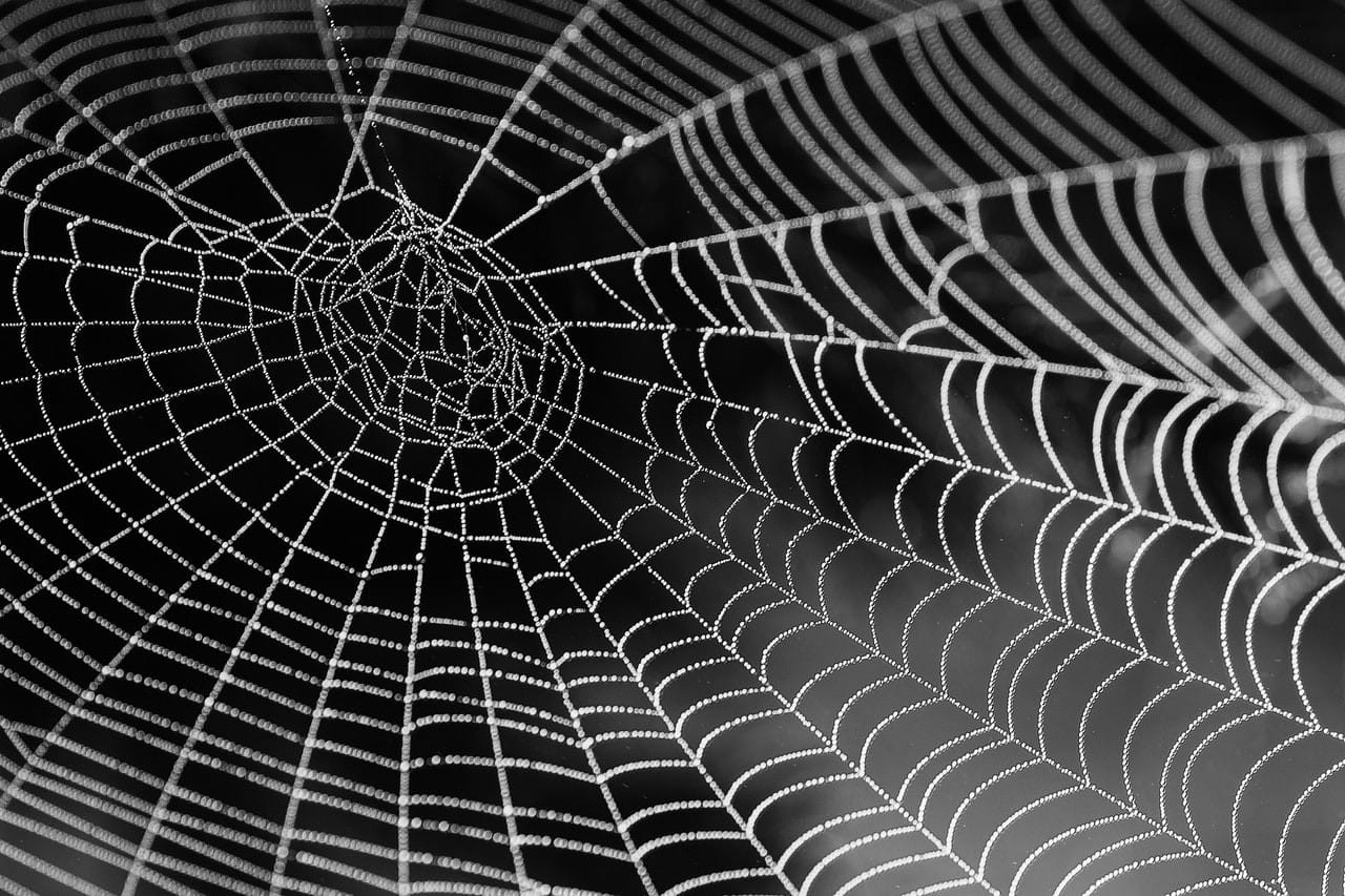 How to host a site on the Dark Web